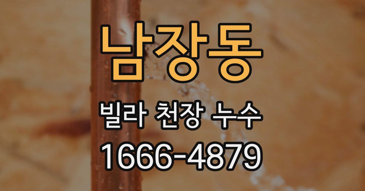 남장동 빌라 천장 누수