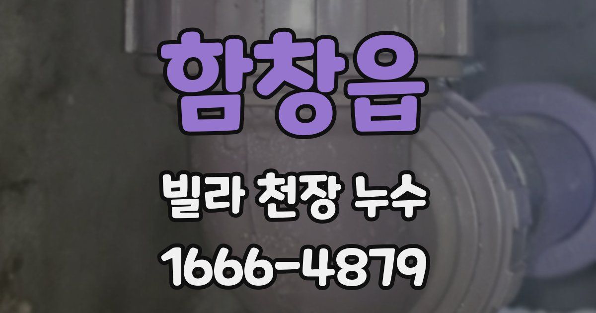 함창읍 빌라 천장 누수