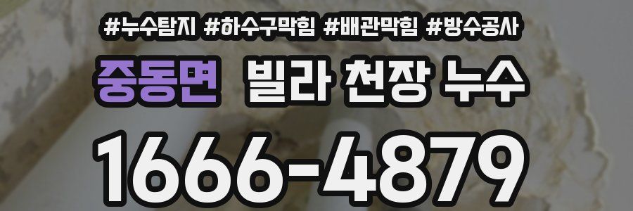 중동면 빌라 천장 누수