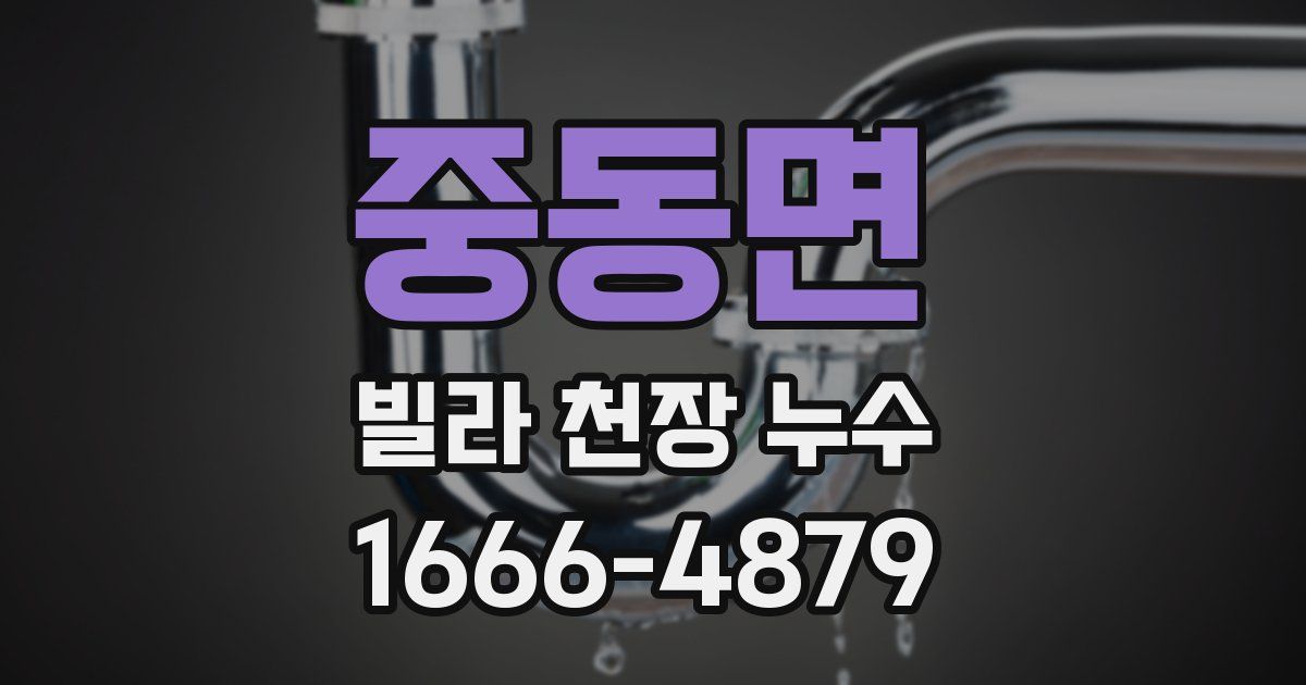 중동면 빌라 천장 누수