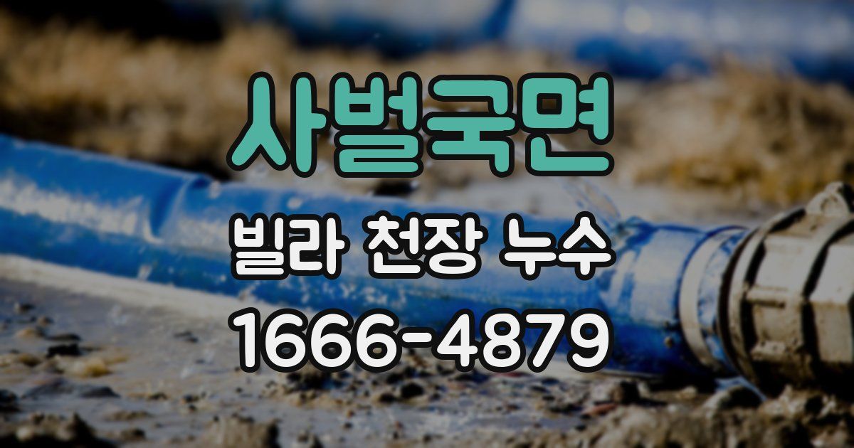 사벌국면 빌라 천장 누수