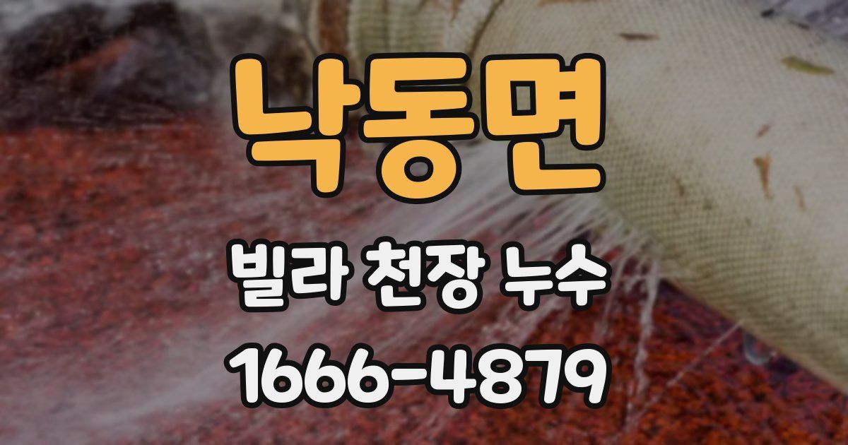 낙동면 빌라 천장 누수