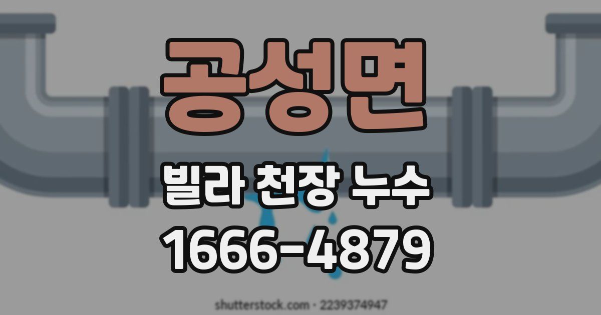 공성면 빌라 천장 누수