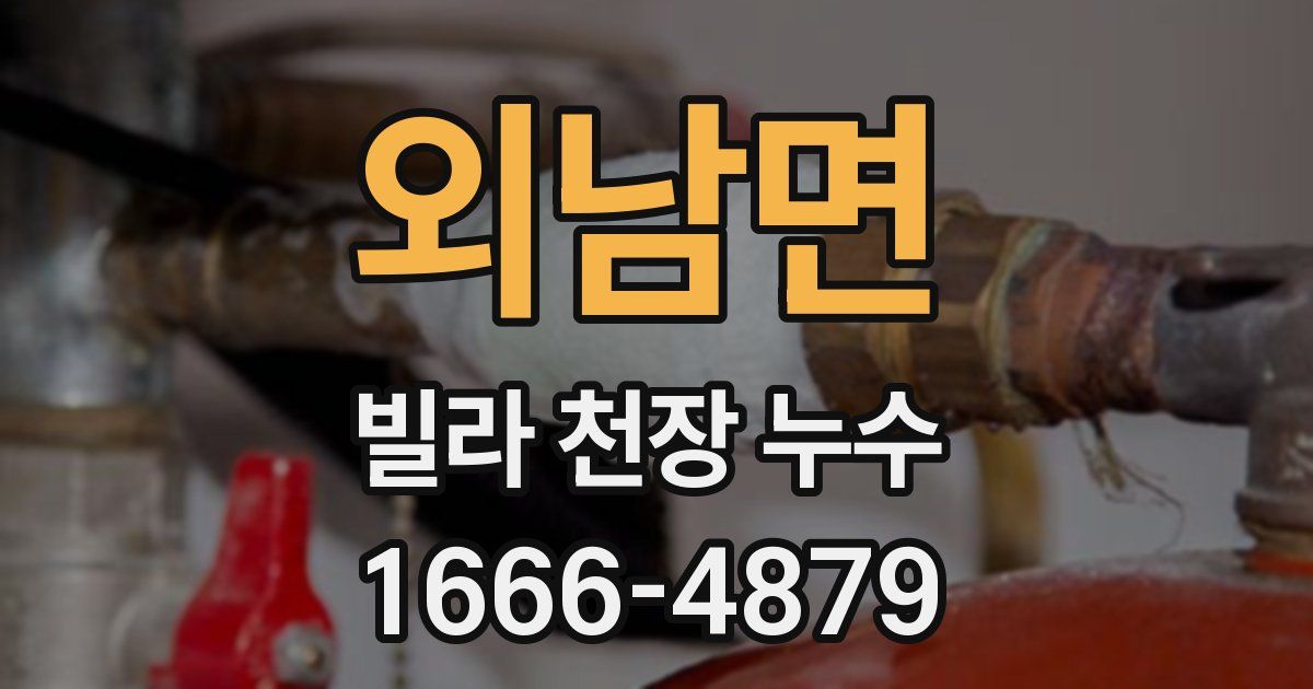 외남면 빌라 천장 누수