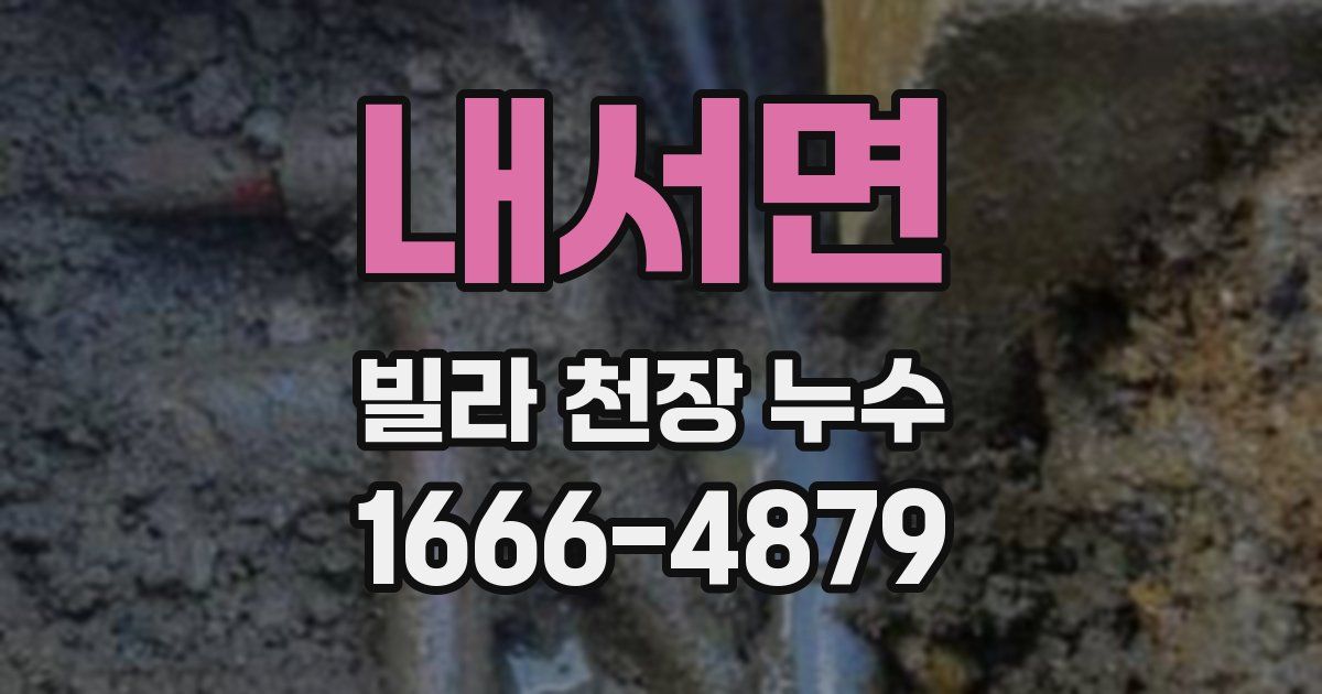 내서면 빌라 천장 누수