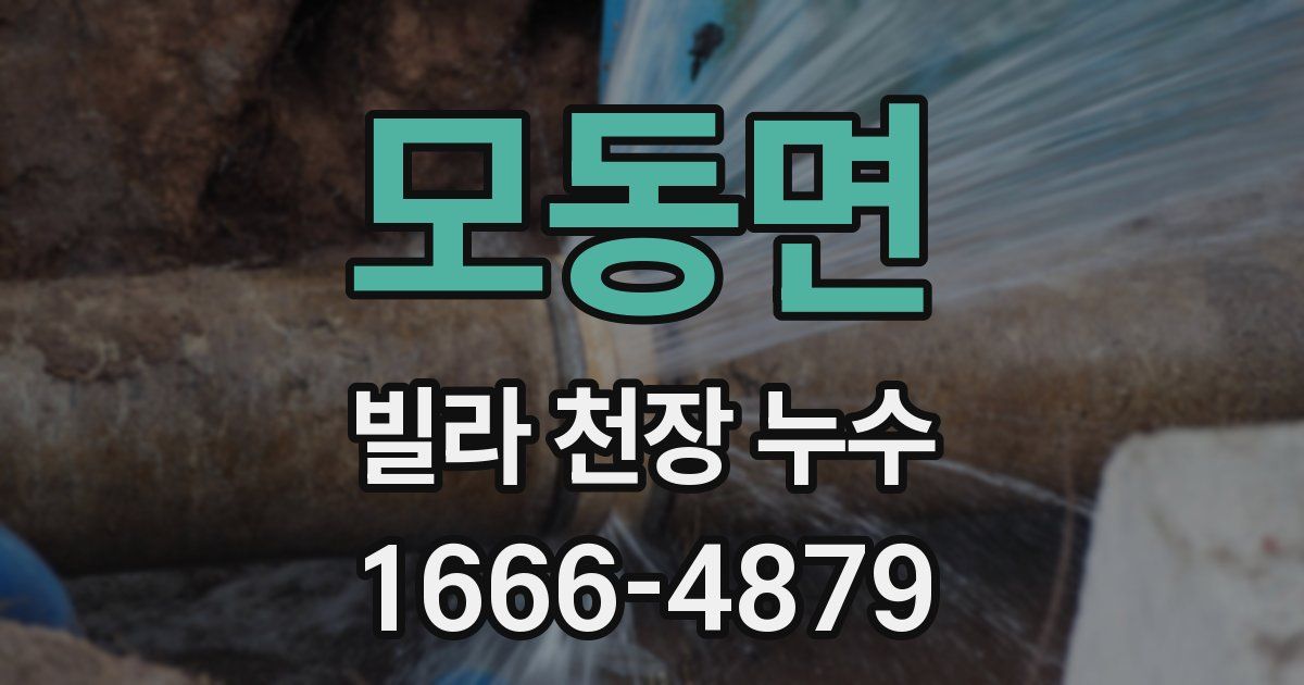 모동면 빌라 천장 누수