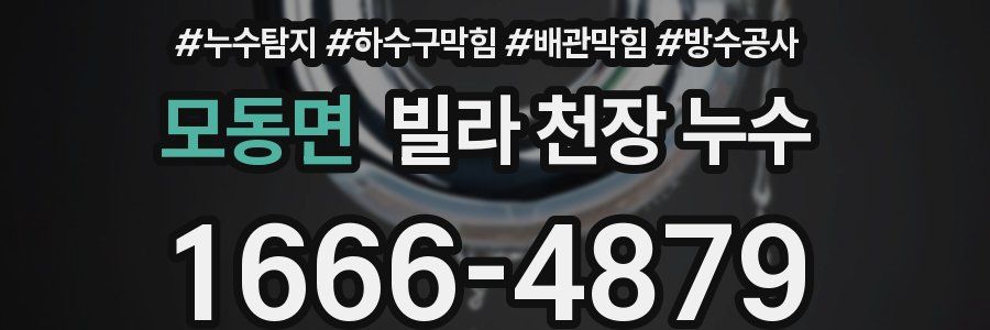 모동면 빌라 천장 누수