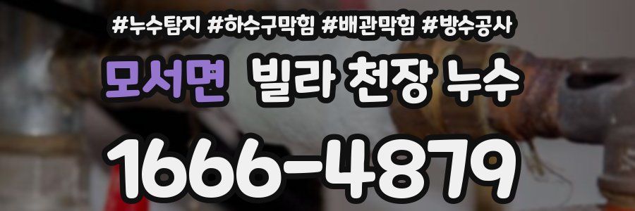 모서면 빌라 천장 누수