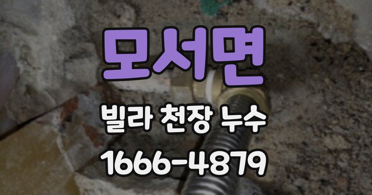 모서면 빌라 천장 누수