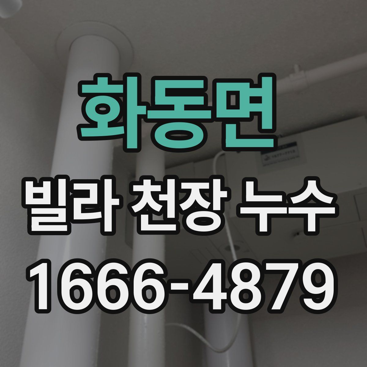 화동면 빌라 천장 누수