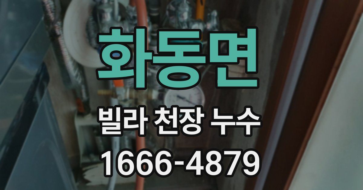 화동면 빌라 천장 누수