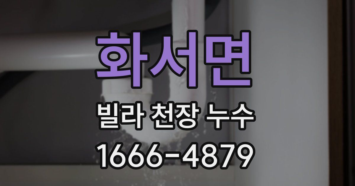 화서면 빌라 천장 누수