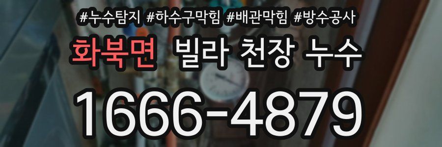 화북면 빌라 천장 누수