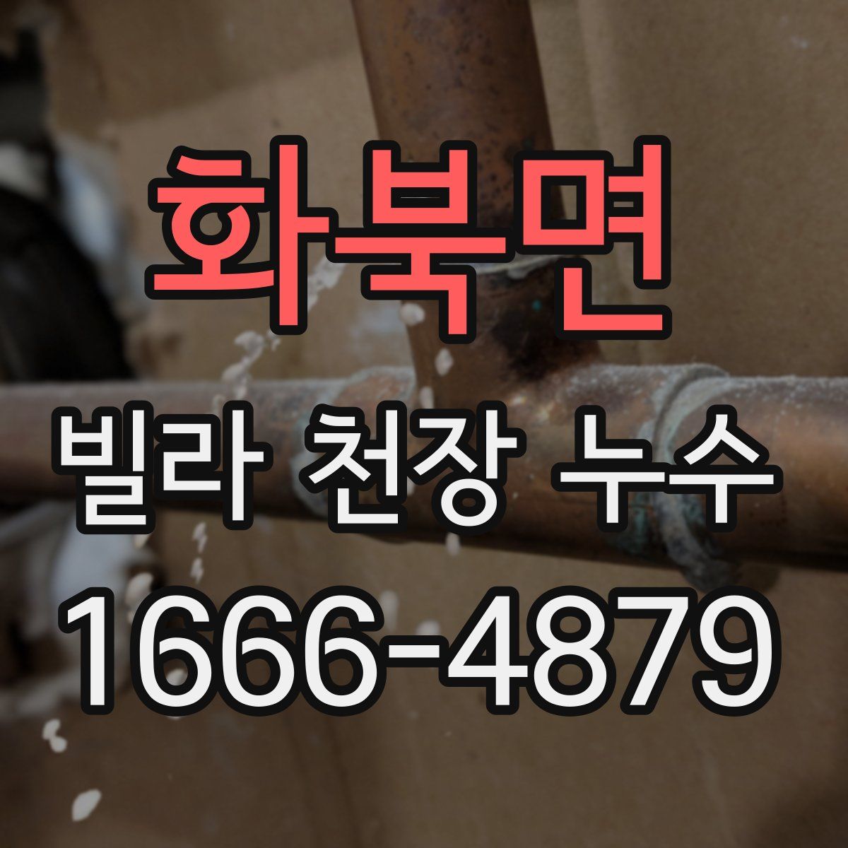 화북면 빌라 천장 누수
