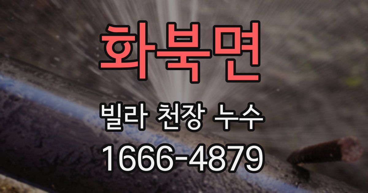 화북면 빌라 천장 누수