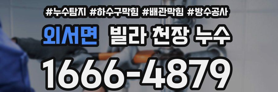 외서면 빌라 천장 누수