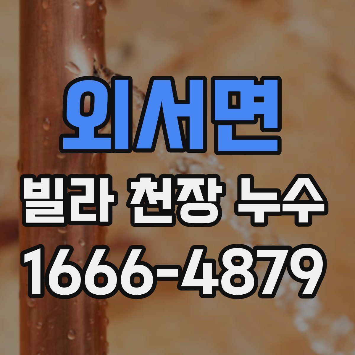 외서면 빌라 천장 누수