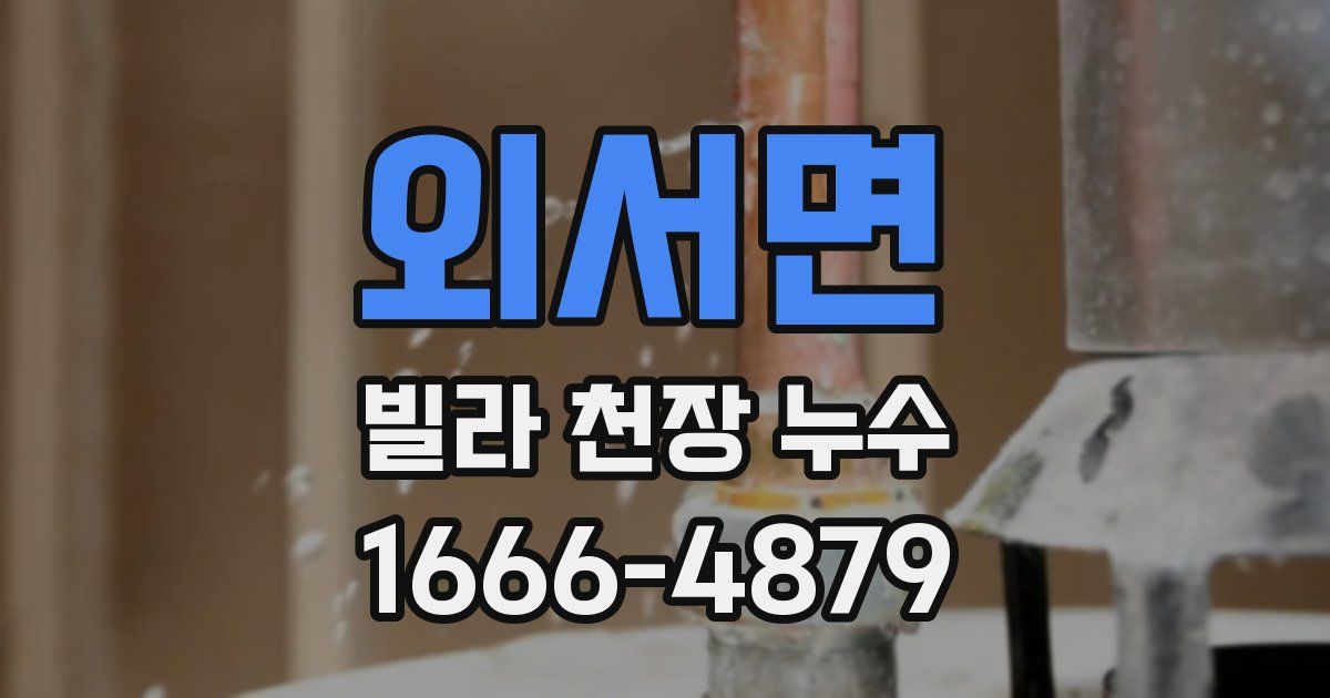 외서면 빌라 천장 누수