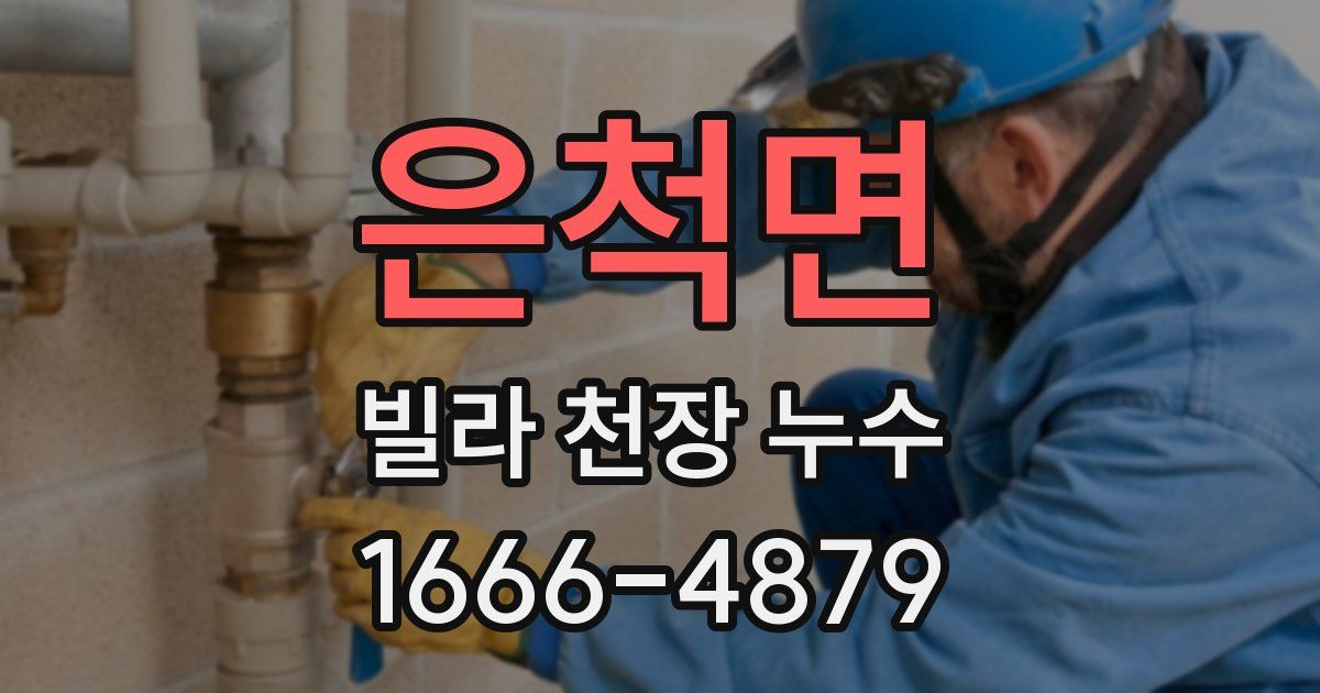 은척면 빌라 천장 누수