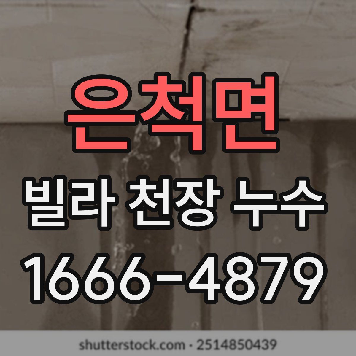 은척면 빌라 천장 누수