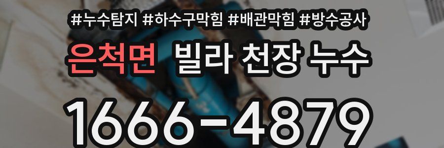 은척면 빌라 천장 누수