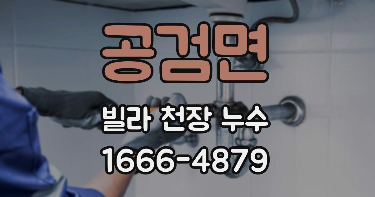 공검면 빌라 천장 누수