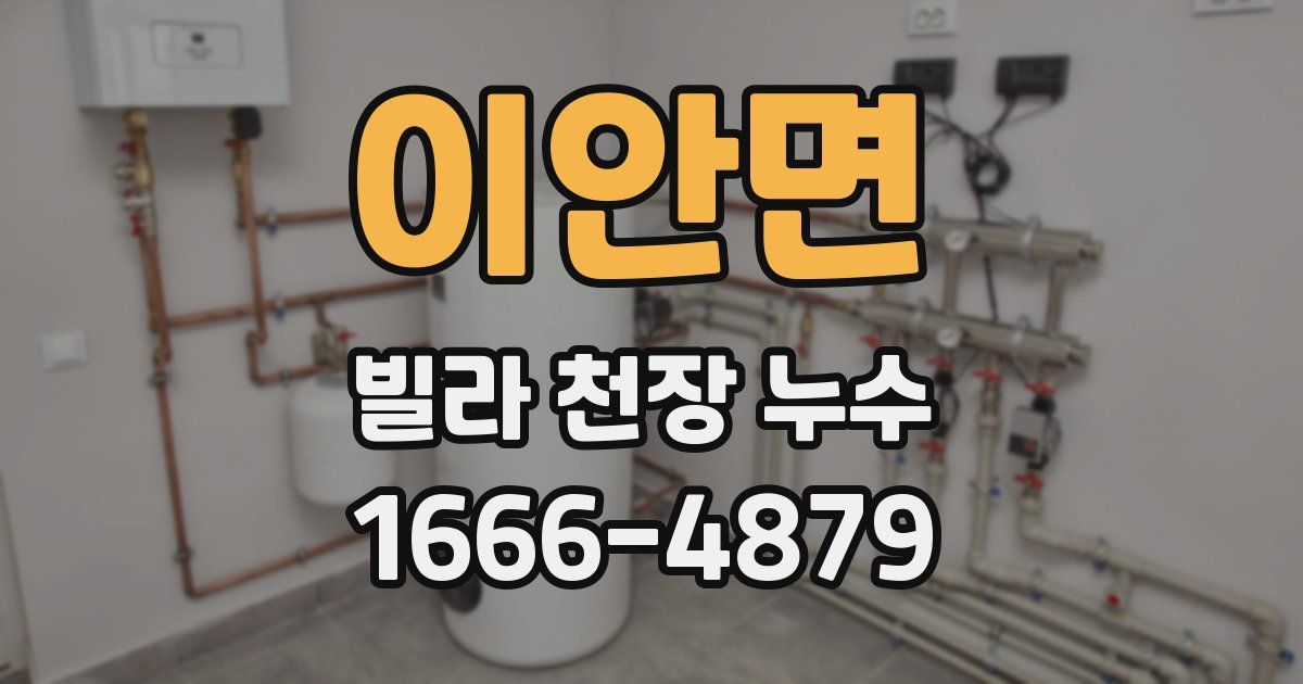 이안면 빌라 천장 누수