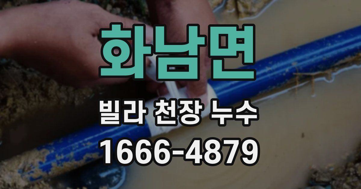 화남면 빌라 천장 누수