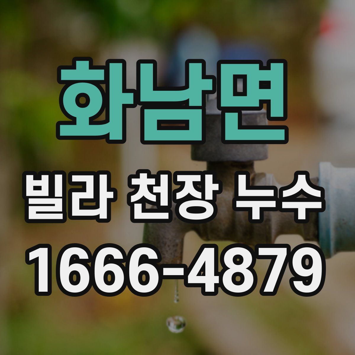 화남면 빌라 천장 누수