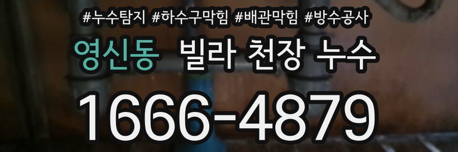 영신동 빌라 천장 누수