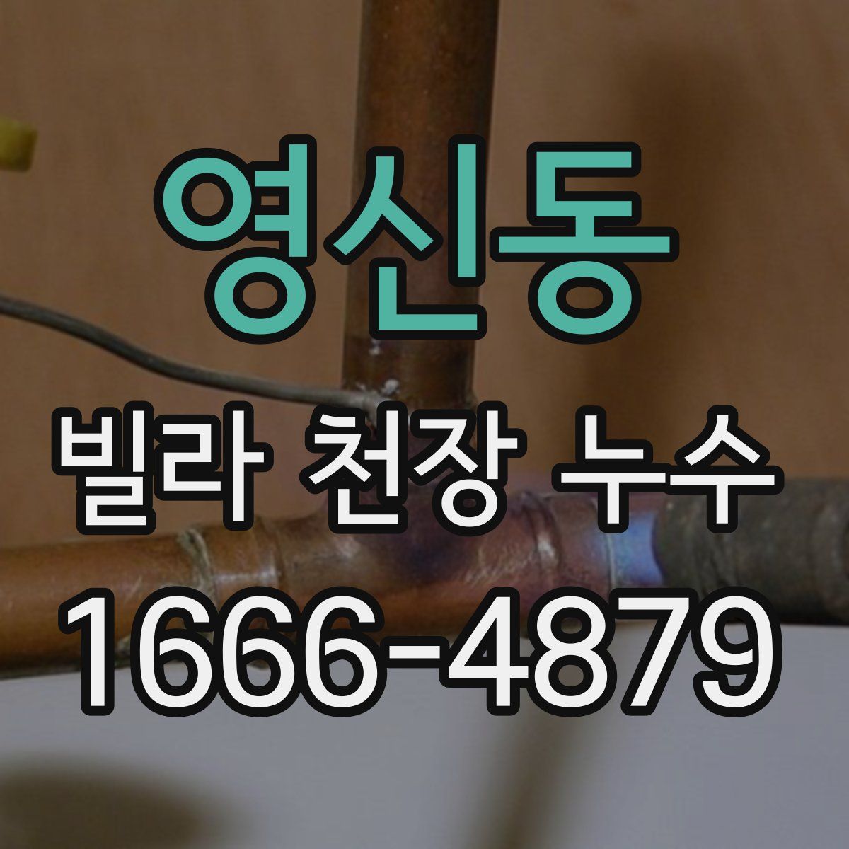 영신동 빌라 천장 누수