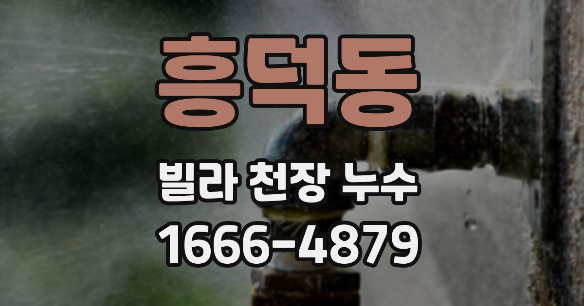 흥덕동 빌라 천장 누수