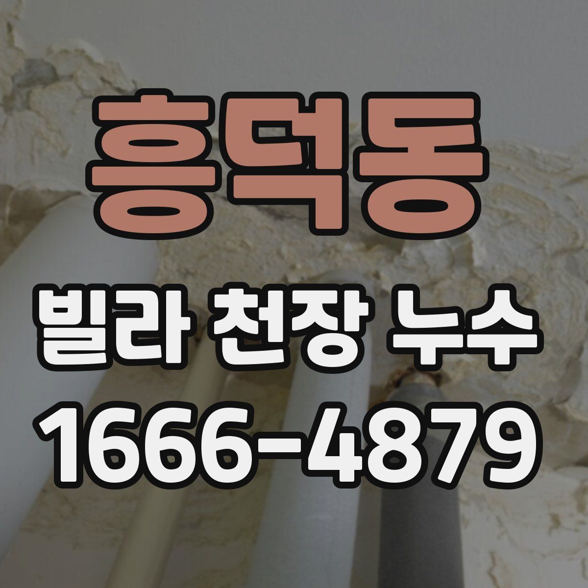 흥덕동 빌라 천장 누수