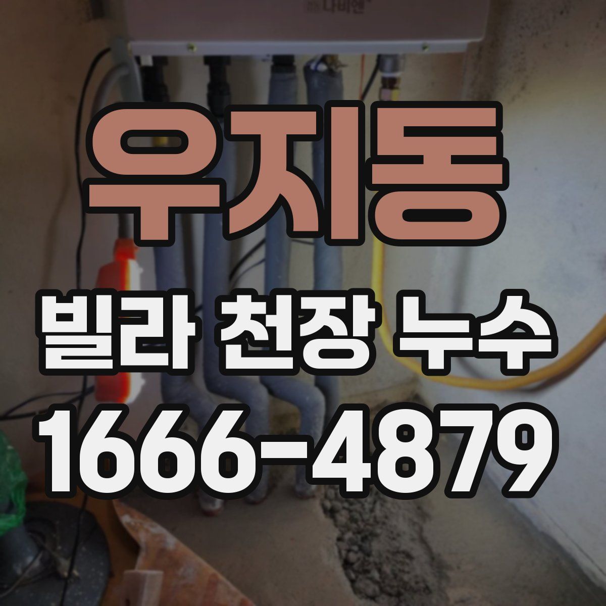 우지동 빌라 천장 누수