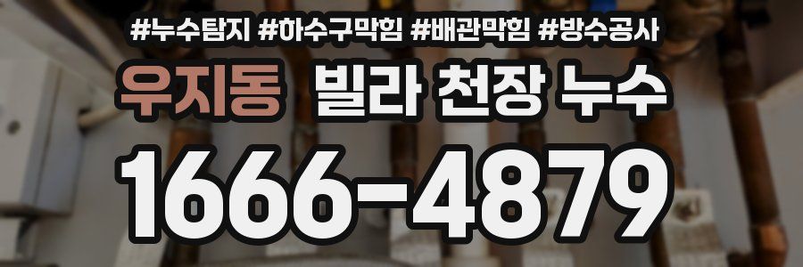 우지동 빌라 천장 누수