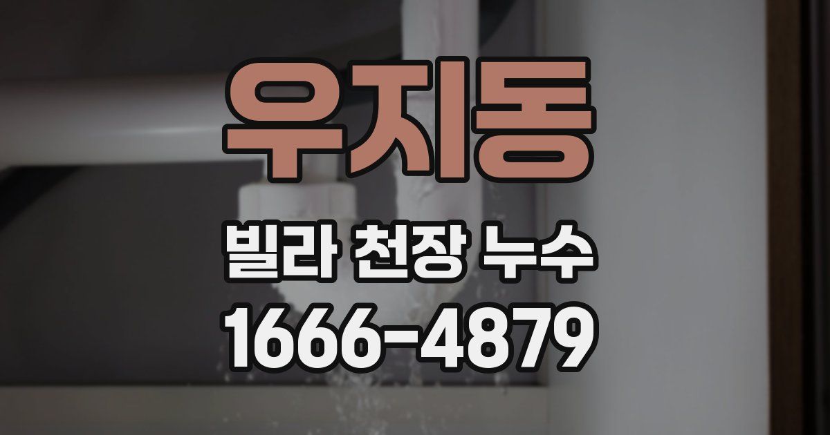우지동 빌라 천장 누수