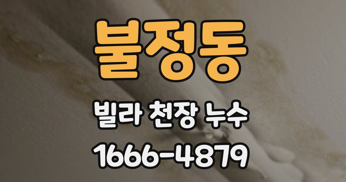 불정동 빌라 천장 누수
