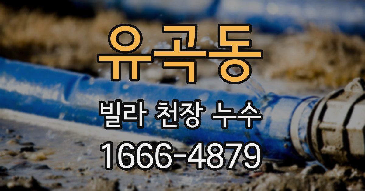 유곡동 빌라 천장 누수