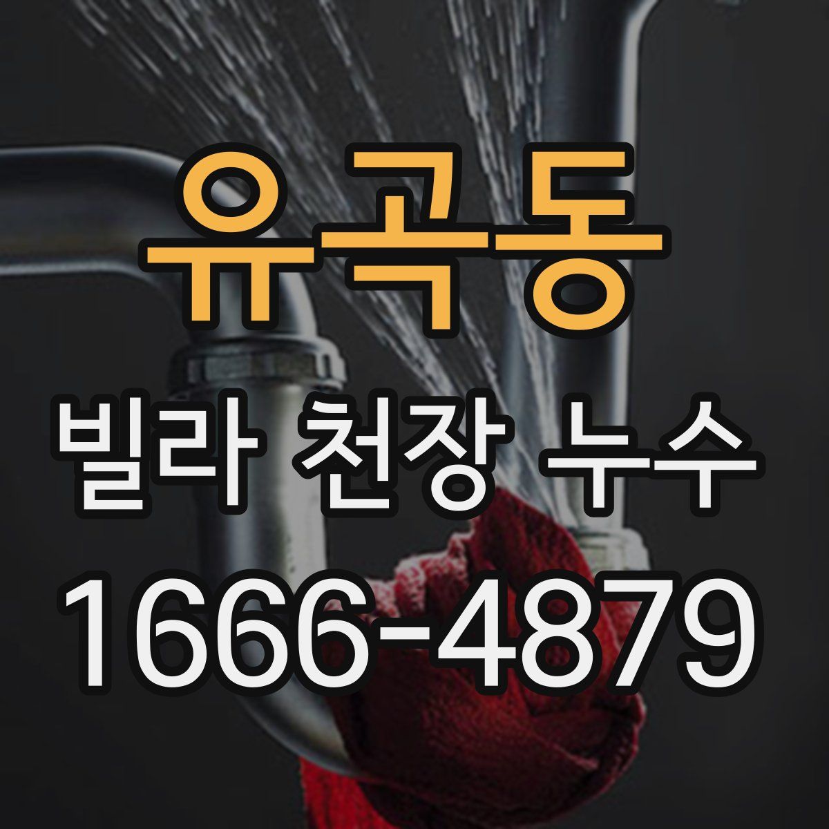 유곡동 빌라 천장 누수