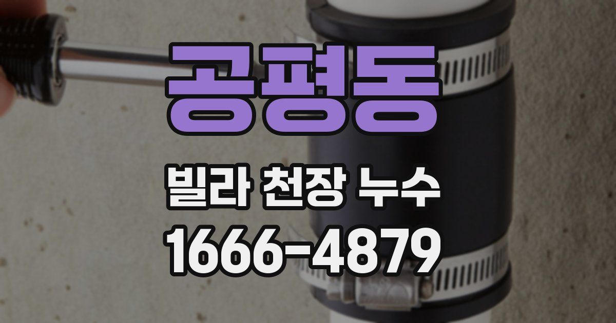 공평동 빌라 천장 누수