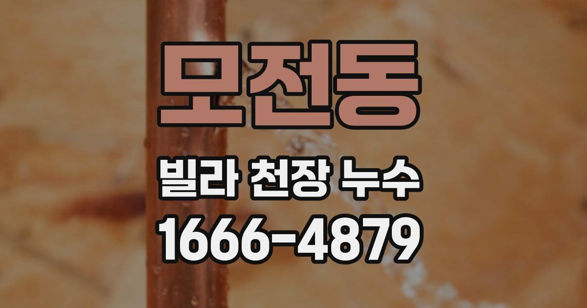 모전동 빌라 천장 누수