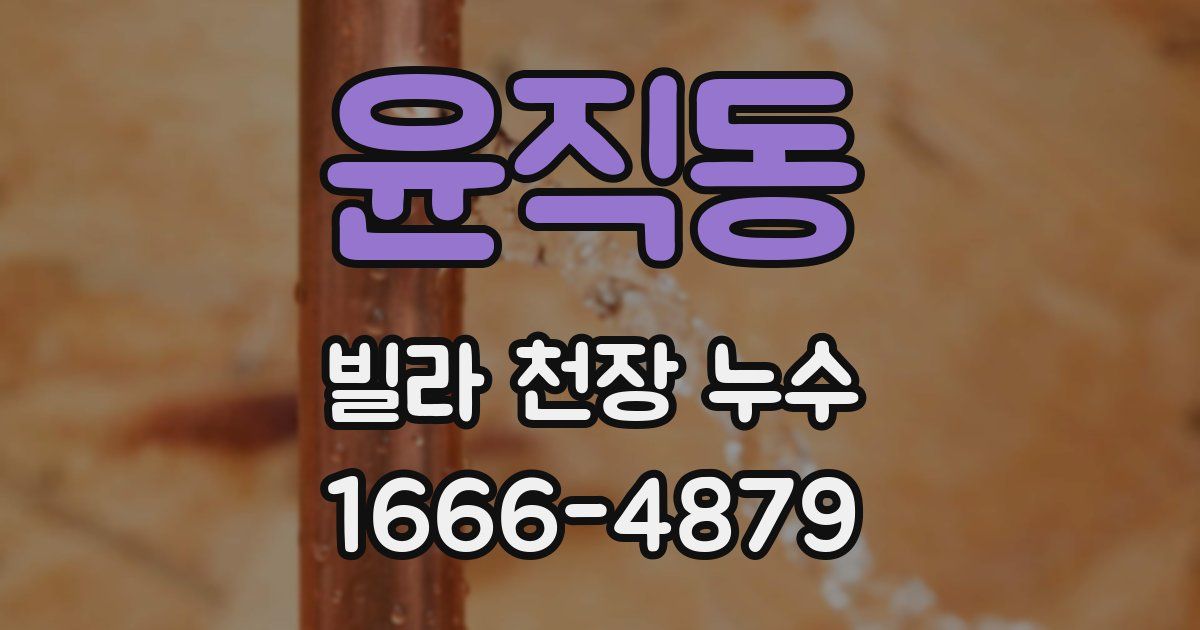 윤직동 빌라 천장 누수