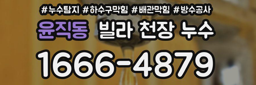 윤직동 빌라 천장 누수
