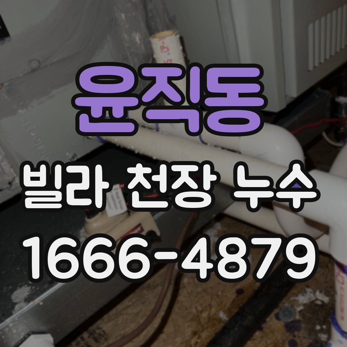 윤직동 빌라 천장 누수
