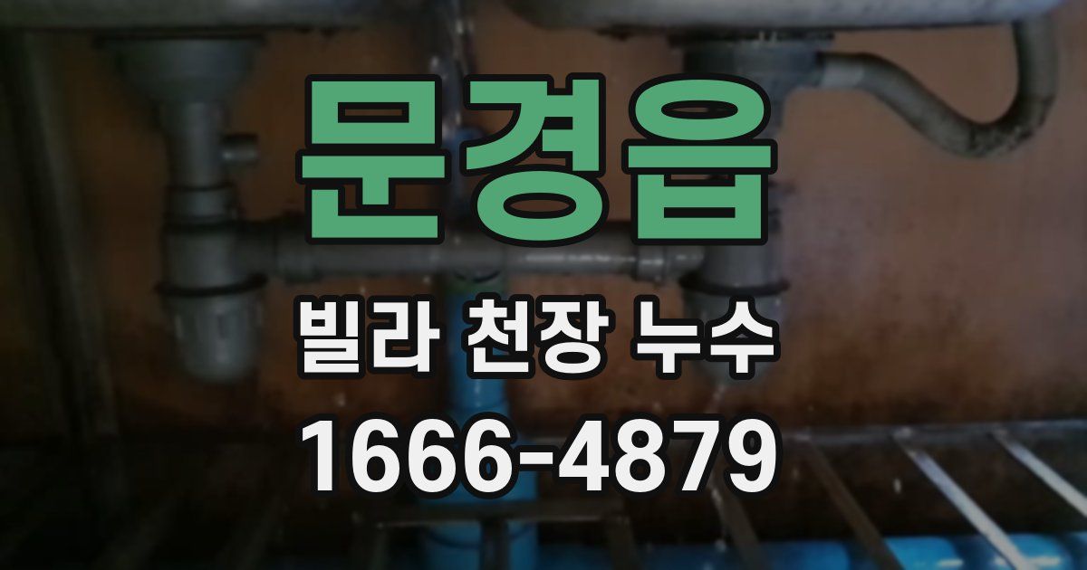 문경읍 빌라 천장 누수