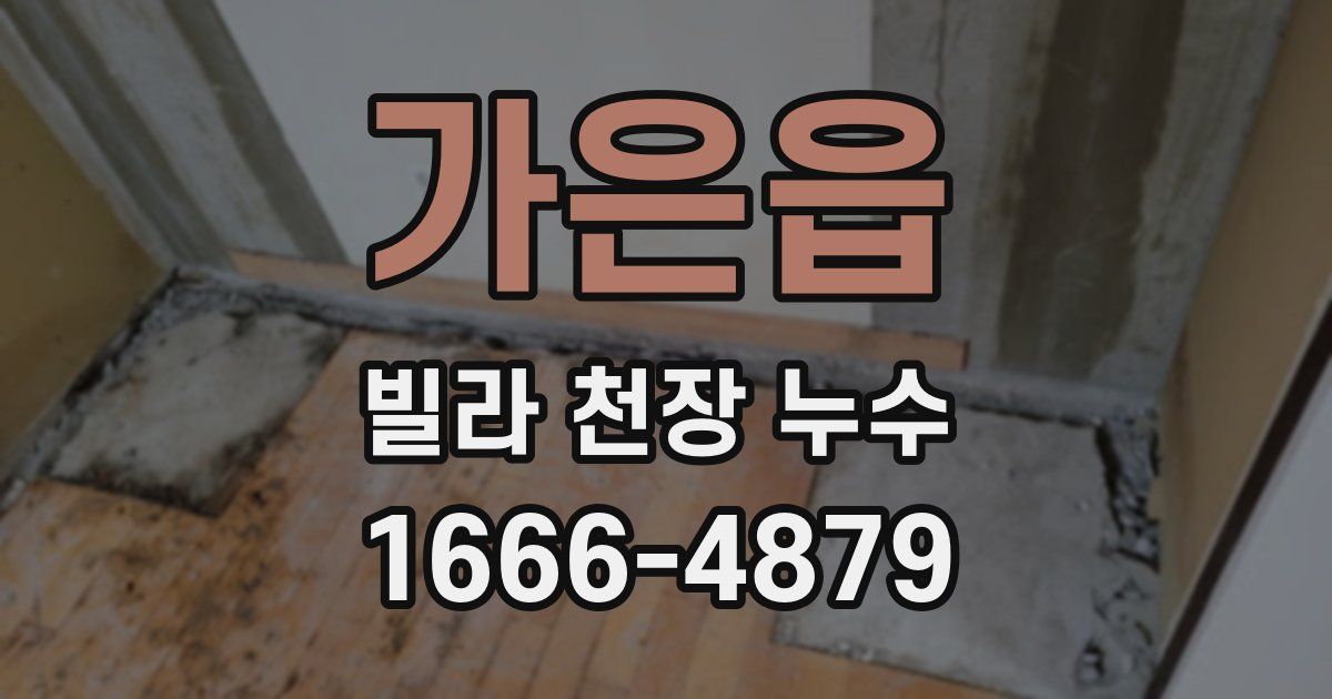 가은읍 빌라 천장 누수