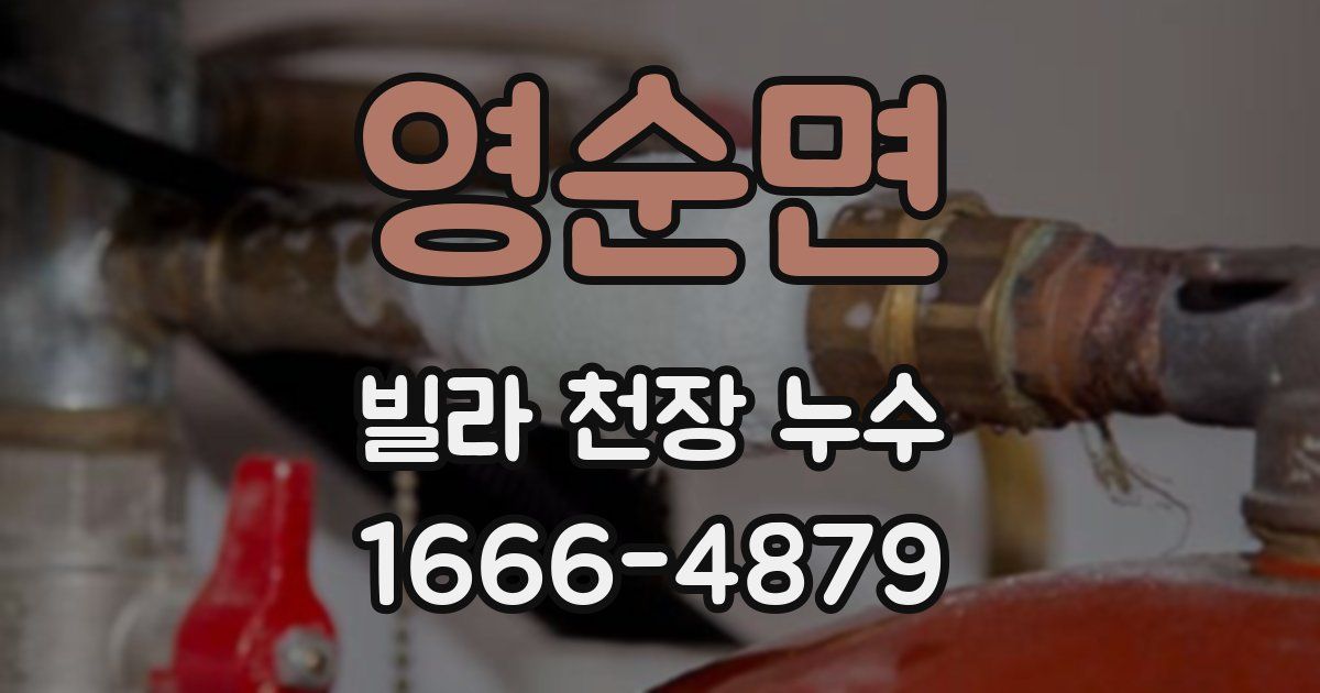 영순면 빌라 천장 누수