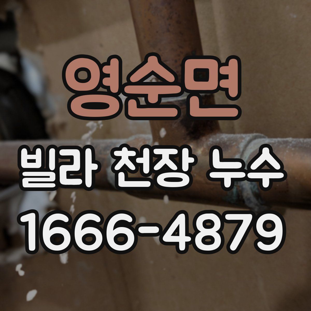 영순면 빌라 천장 누수