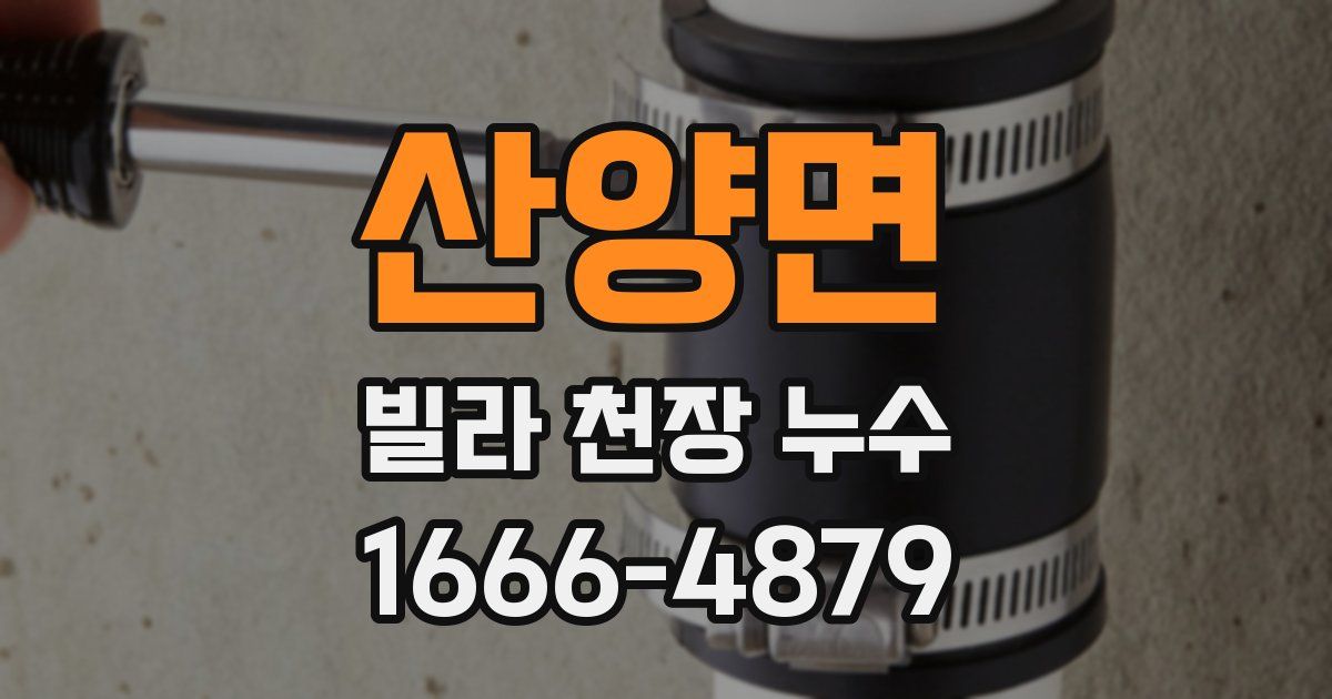 산양면 빌라 천장 누수