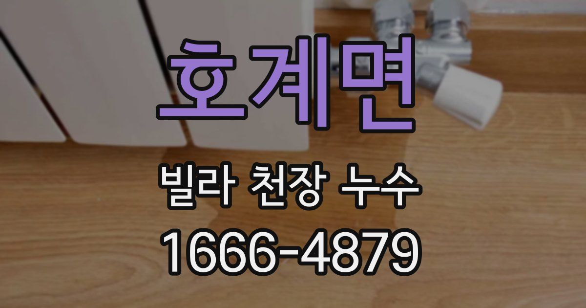 호계면 빌라 천장 누수